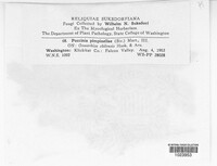 Image Associated With the Occurence